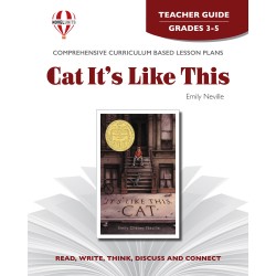 It's Like This, Cat (Teacher's Guide)