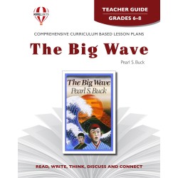 Big Wave , The (Teacher's Guide)